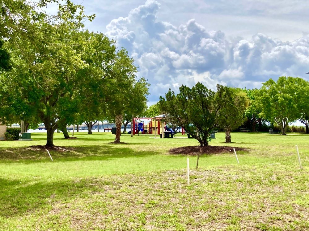 Horton Park - green space